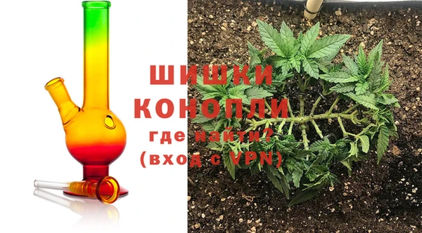гидра Пересвет