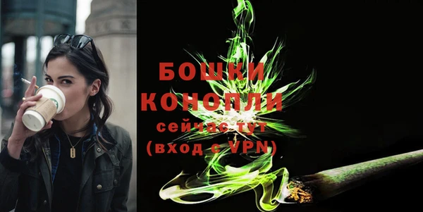 spice Осинники