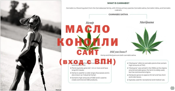 гидра Пересвет