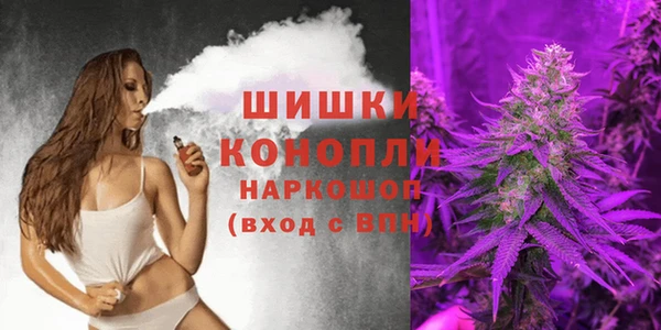 тгк Пестово