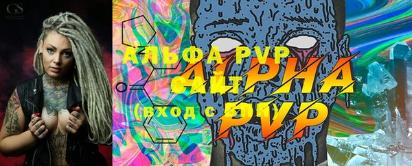 spice Осинники