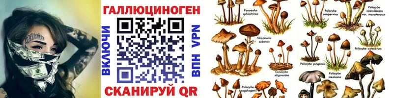 Псилоцибиновые грибы мухоморы  Светогорск 