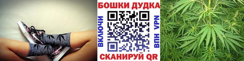 Каннабис ГИДРОПОН  Светогорск 